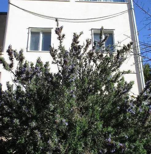 Apartament Laganini Split